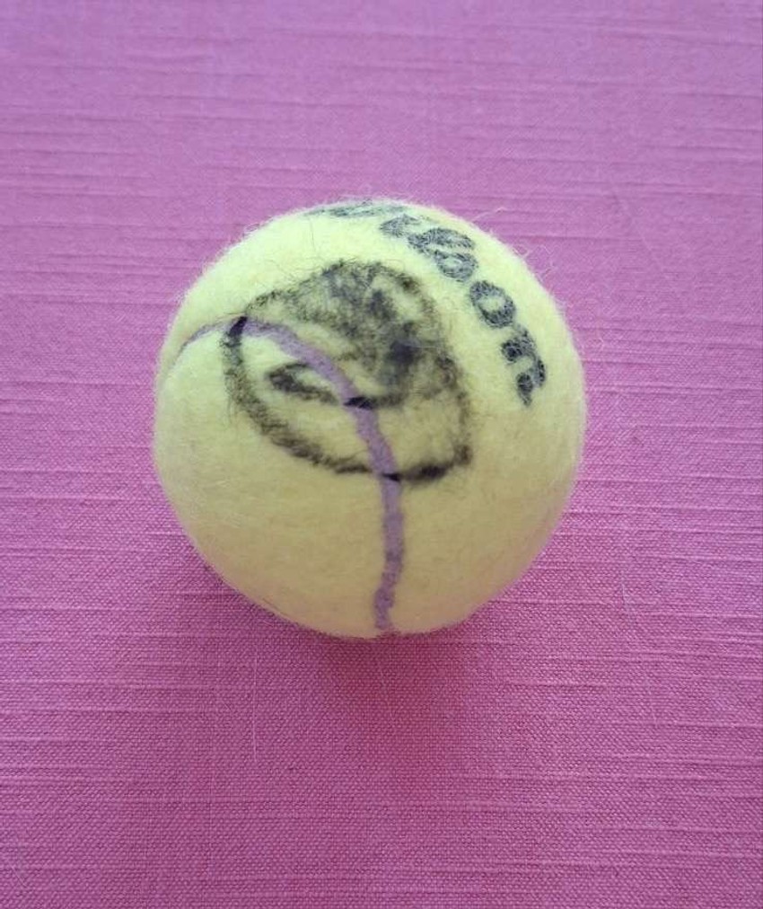 Humanitarac Vladimir prodaje Novakovu čuvenu loptu