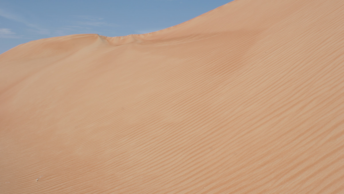 Chcesz poczuć się jak Lawrence z Arabii, ale masz tylko kilka dni urlopu? Niemożliwe? A jednak! Może weekend w Omanie? A dokładniej - Rub al-Khali (Pustym Regionie) - czyli 640000 km2 pustyni, na której są tylko wydmy.