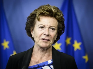 Neelie Kroes