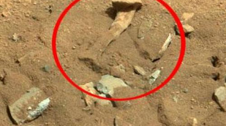 Földönkívüli csontját fotózhatták le a Marson