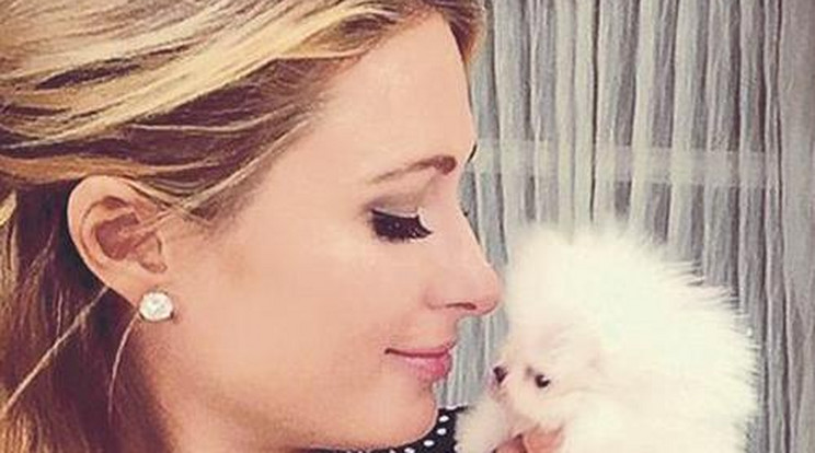 6 millióért vett kutyát Paris Hilton
