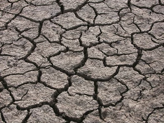 Nawet kraje mocno zagrożone zmianą klimatu, jak np. Australia, zaczynają bagatelizować problem