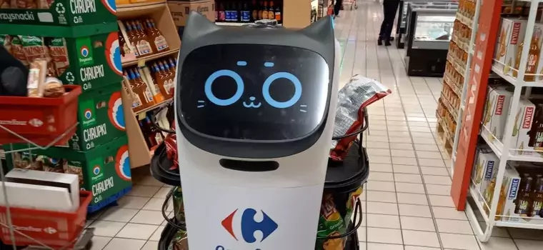 Kerfuś. Dlaczego Polacy chcą kopulować z robotem Carrefoura?