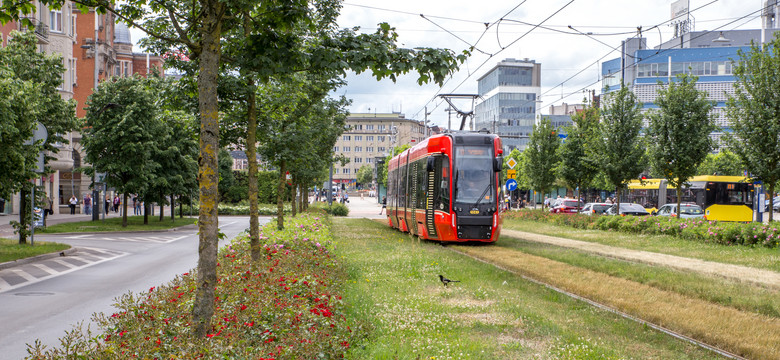 Mieszkańcy decydują! Nowa fala zielonych inwestycji w Katowicach