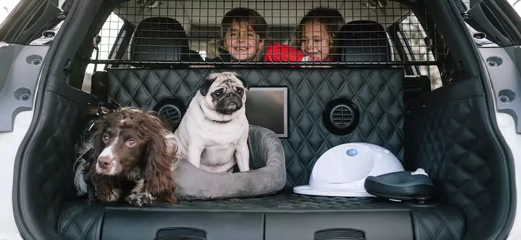 Nissan X-Trail 4Dogs - samochód przyjazny dla psów
