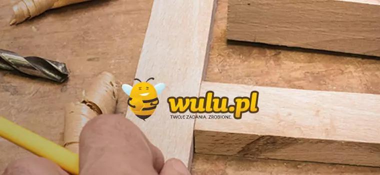 Wulu.pl – ciekawy polski serwis zleceniowy