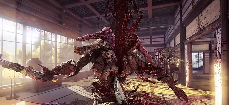 Gamescom 2016: Zobaczcie 10 minut soczystej rozgrywki z Shadow Warrior 2