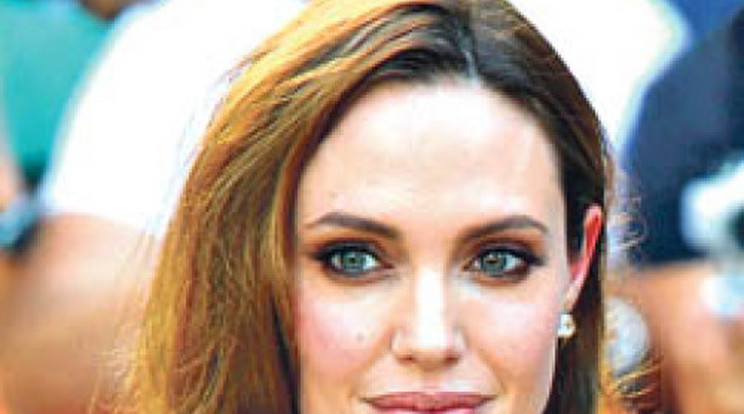 Lopásért perelik Angelina Jolie-t