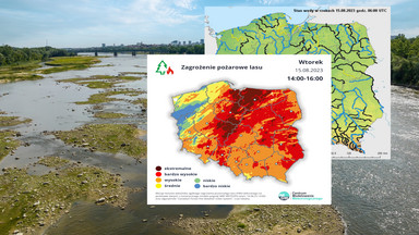 Upały w Polsce. Ekstremalne zagrożenie pożarami i niski poziom rzek. Prognozy wzbudzają niepokój [MAPY]