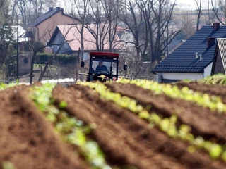 Według NIK nieefektywne i nielegalne inwestycje Funduszu Składkowego Ubezpieczenia Społecznego Rolników w latach 2017-2020 pochłonęły prawie 36 mln zł