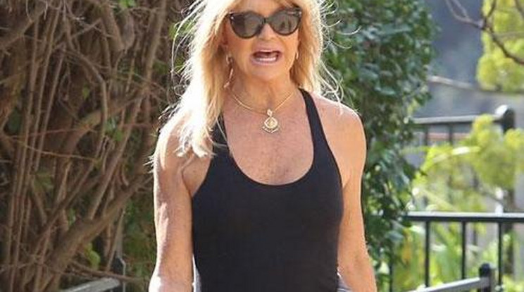 Durva! Melltartó nélkül edzett Goldie Hawn – fotók!