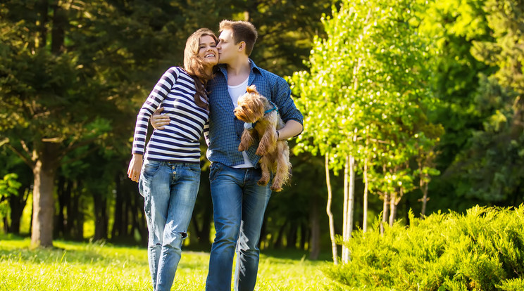 A kutyatulajdonosok az átlagosnál gyakrabban kötnek házasságot, nevelnek 
gyerekeket, élnek kertes házban  /Fotó:Shutterstock