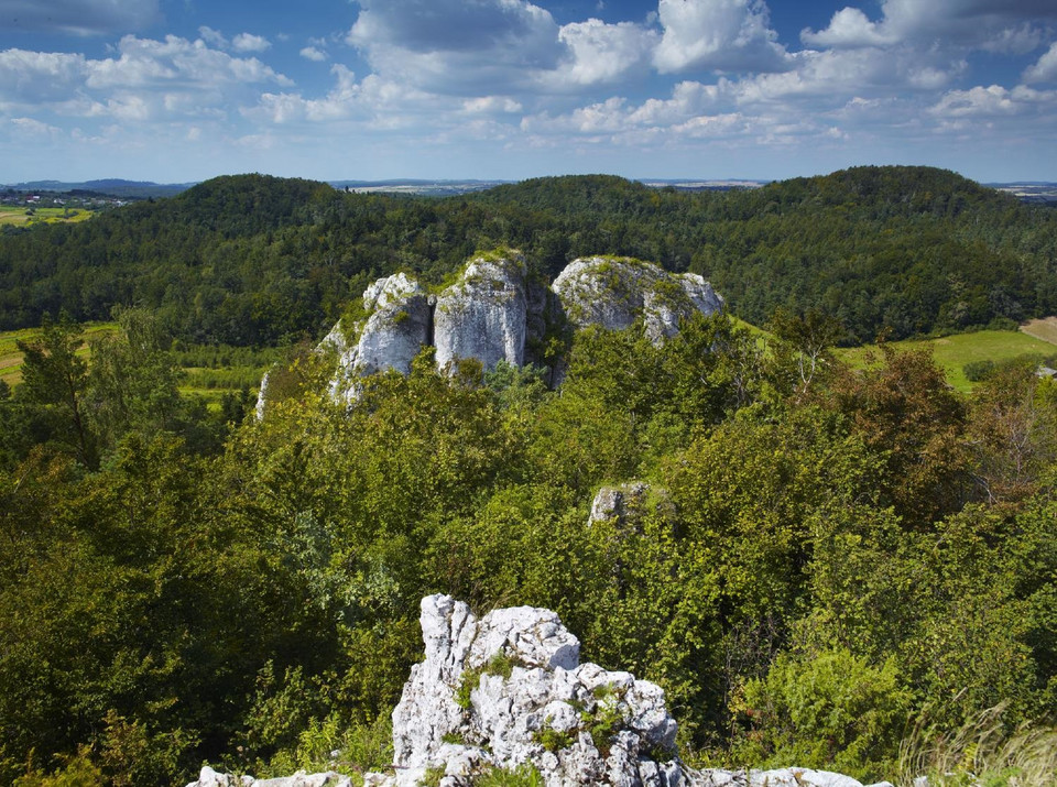 Widok z Zegarowych Skał, Smoleń, Park Krajobrazowy Orlich Gniazd
