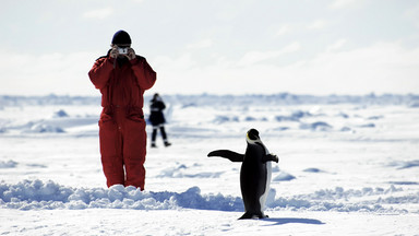 Wycieczka na Antarktydę: najdroższy snobizm?