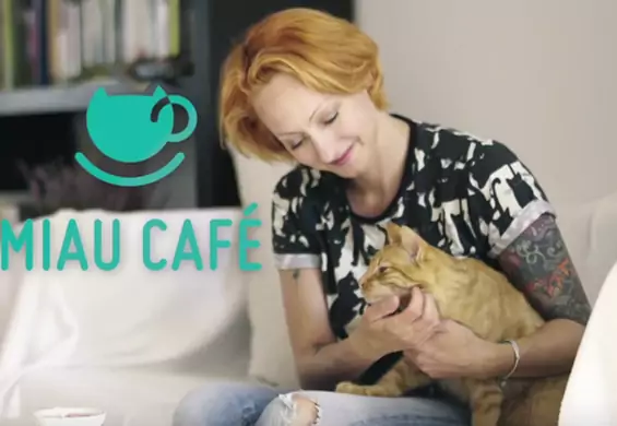 Co koty mają robić w warszawskiej Miau Cafe? Pomysł budzi kontrowersje, ale właścicielka nie ma zamiaru się poddać