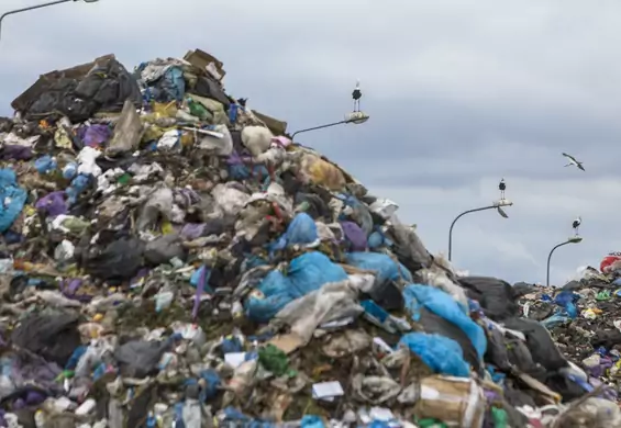 Więźniowie będą sprzątać nielegalne wysypiska. "To element resocjalizacji"