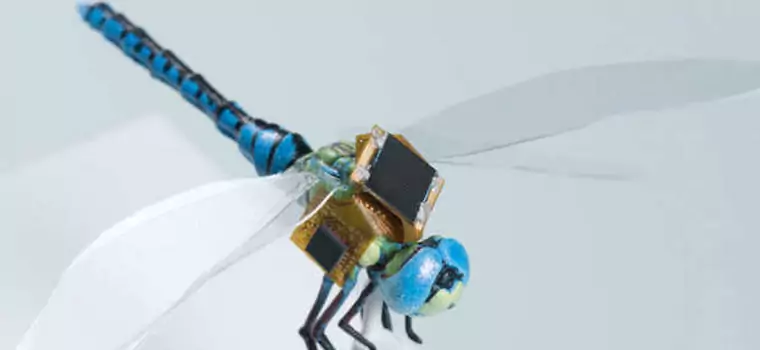 DragonflEye – ważka-cyborg w roli drona