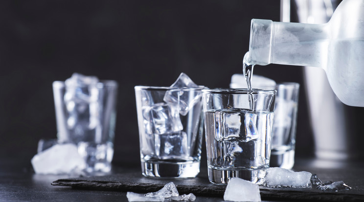 Nagy mennyiségben elfogyasztott vodka egészségügyi hatásait vizsgálták Fotó: Shutterstock