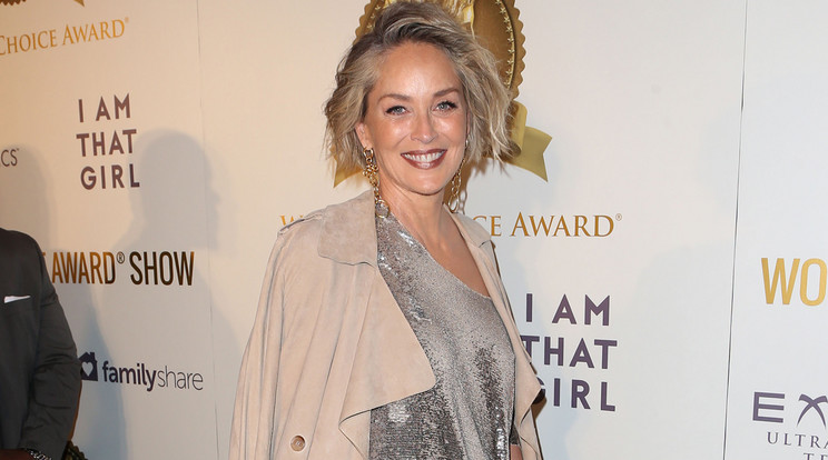 Sharon Stone még mindig szexi/Fotó: Northfoto