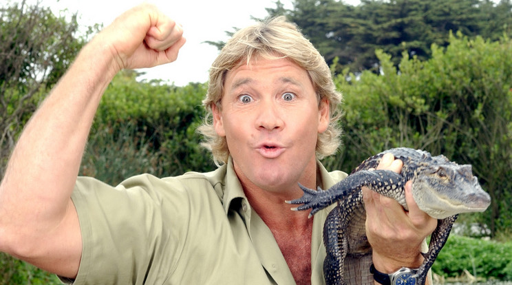 Steve Irwin hét éve vesztette életét / Fotó: Europress Getty Images