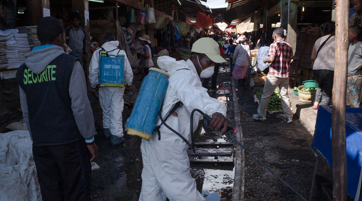 Hiába fertőtlenítenek, terjed a pestis / Fotó: AFP