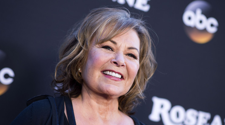 Roseanne Barr /Fotó: AFP