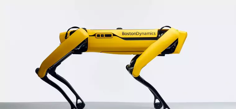 Boston Dynamics rozpoczęło sprzedaż robota Spot. Cena jak za mieszkanie