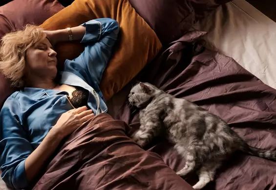 Gdyby koty mogły mówić, czyli sekrety 40-letniej singielki: serial "Klara" zauroczy was na wiosnę
