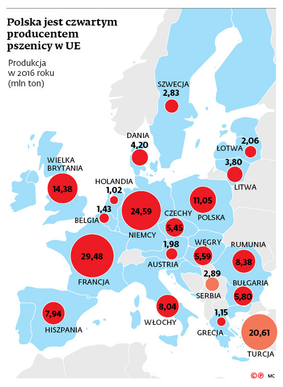 Polska jest czwartym producentem pszenicy w UE