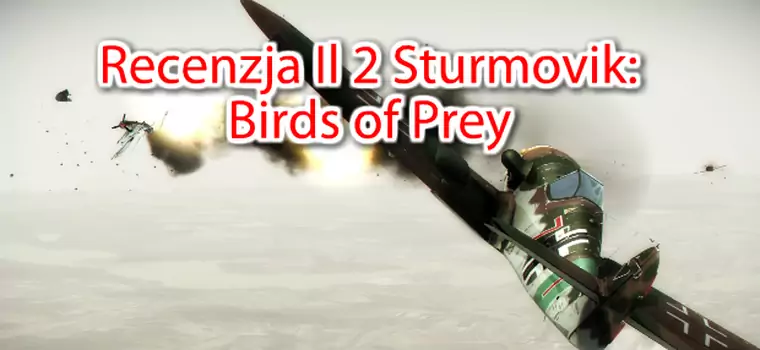 Il-2 Sturmovik: Birds of Prey - recenzja