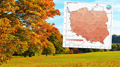 IMGW: To był anomalnie ciepły październik. Padł 57-letni rekord [MAPY]