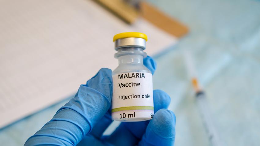 Malária elleni véőoltás, afrika, malária, moszkító