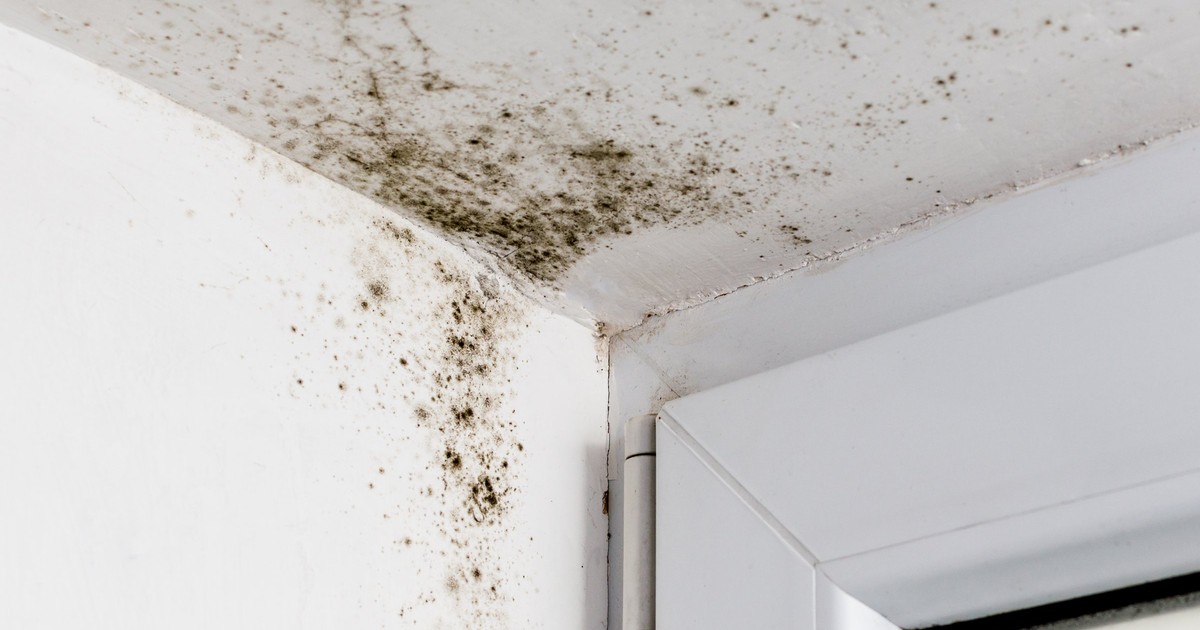 Mold Could Be Making You Sick Here Are 8 Signs There S Mold Hiding In