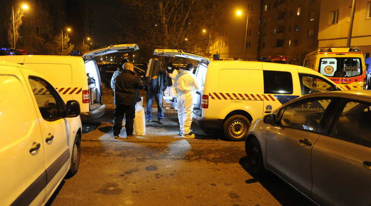 A gyilkosság estéjén rendőrök lepték el a környéket /Fotó: MTI - Mihádák Zoltán