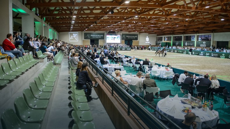 Empty stands at 47. The auction Arabian  Horse Pride of Poland