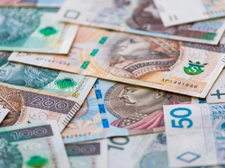 Siła nabywcza zarabianych przez Polaków pieniędzy maleje najszybciej od dwóch dekad