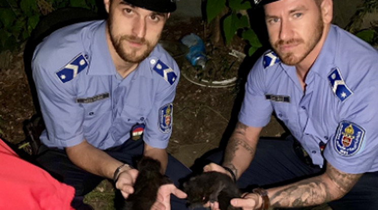 Az elásott cicákat végül rendőrök mentették meg /Fotó: police.hu