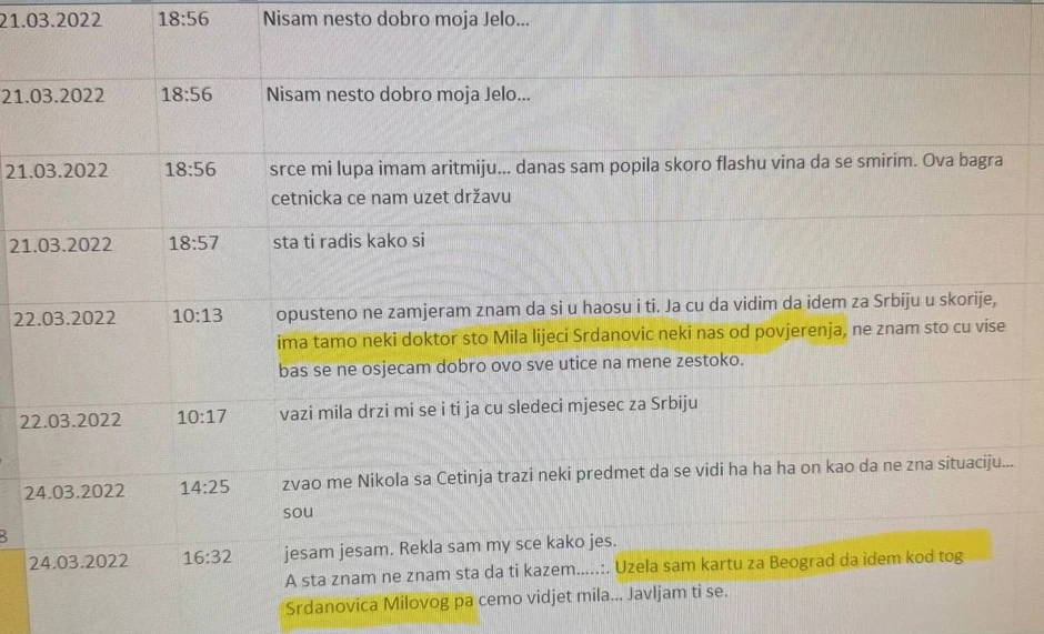 Skaj prepiska Vesne Medenice u kojoj se spominje Ilija Srdanović