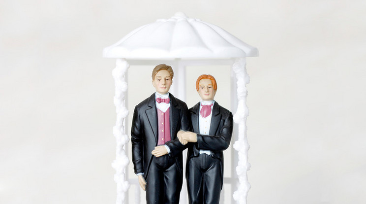 A melegházasságot legalizálták Németországban /Illusztráció: Northfoto