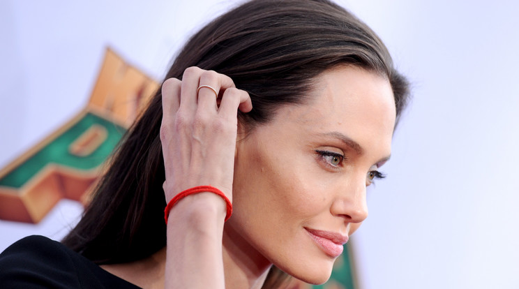 Angelina Jolie nem szeretné, ha a gyerekei a színészetet választanák /Fotó: Northfoto
