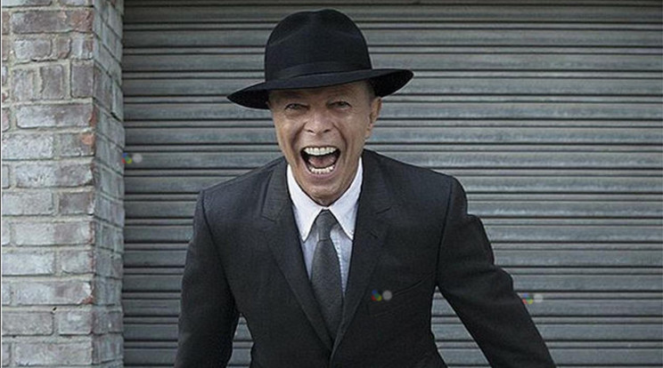 David Bowie /Fotó: Northfoto
