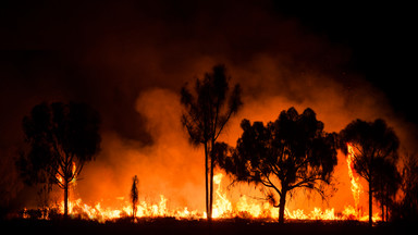 Pożary w Boliwii. Płonie już 150 tys. ha lasów i łąk, w tym Amazonia
