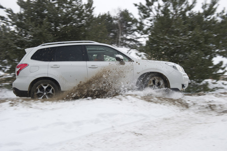 Toyota RAV4 kontra Ford Kuga i Subaru Forester: porównanie najnowszych SUV-ów na rynku