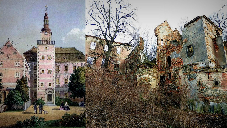 Ruiny Zamku w Pielaszkowicach