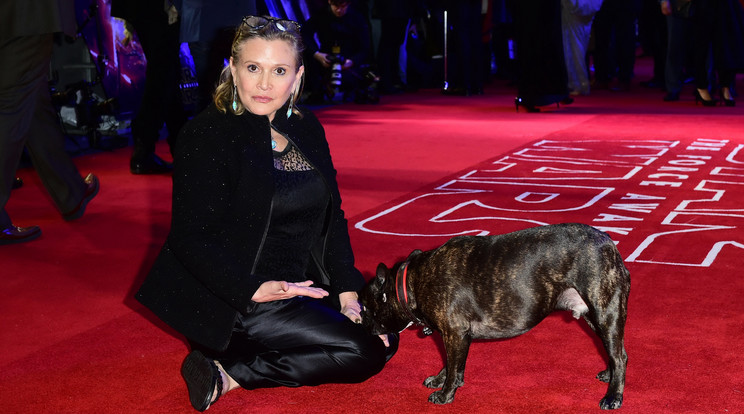 Carrie Fisher és kutyusa, Gary /Fotó: Northfoto