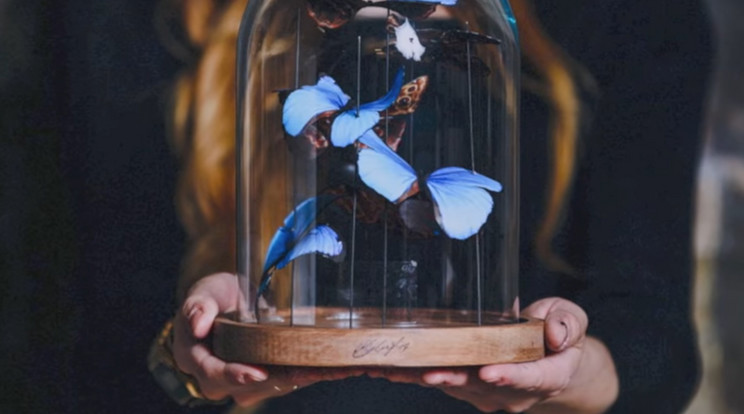 800 darab kézzel készített pillangóval emlékezett meg nagymamájára / Fotó: YouTube - pillanatkép a videóból