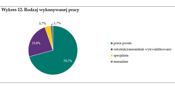 Imigranci z Ukrainy: rodzaj wykonywanej pracy, źródło: NBP