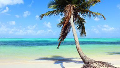 Dominikana - największe atrakcje. Przewodnik po rajskiej, wakacyjnej wyspie