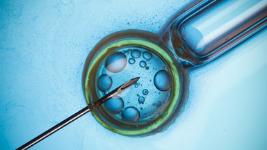 Ginekolog w Radiu Maryja o in vitro: niegodziwość wobec początków ludzkiego życia