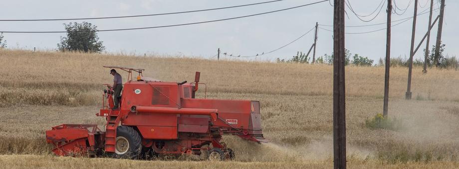 W Europie Środkowej i Wschodniej unijne dopłaty bezpośrednie są przejmowane przez oligarchów?